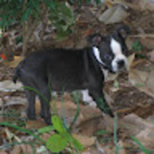 Meet your Posher, Tim